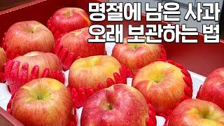 사과를 '이곳'에 보관하면 1년도 끄떡없습니다