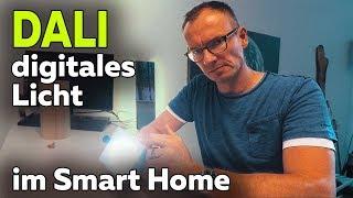 Hochwertiges Licht mit DALI | Kiteo K-Spot 12F | Smartest Home - Folge 98