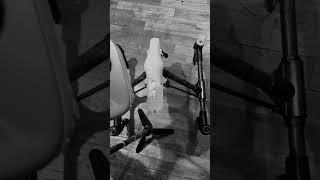 Inspire 1 Landing gears not working what to do ?