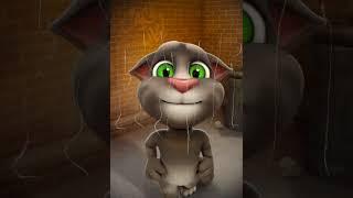 Talking Tom and I made an awesome video together! You can make your own super cool videos with his a