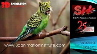 3D Animation Institute - Projects, Syllabus, Details of Courses