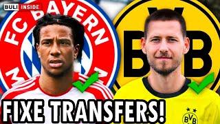 BAYERN holt Flügelspieler MICHAEL OLISE! BVB verpflichtet WALDEMAR ANTON!