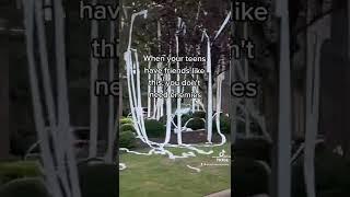 When was the last time you saw a house TP'd? #shorts #funny #house #tp #prank #toiletpaper