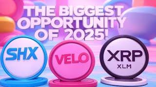 The BIGGEST OPPORTUNITY of 2025! VELO, SHX, XLM, XRP. | The Deeper Dive.