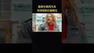 脑袋分离闹乌龙，肉球相助妙趣横生