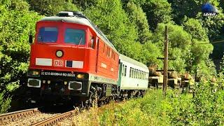  BR232 Ludmilla & Tren Militar DB Cargo Military Train in Șuncuiuș - 16 July 2023