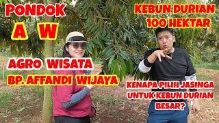 Pondok AW (Agro Wisata).Diskusi dgn Bp Affandi Wijaya (AW).Mengapa Durian di Jasinga sampai 100 ha?