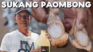 The Best Traditional Vinegar in the Philippines (Sukang Paombong)