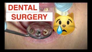 Dental Surgery