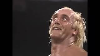 Hulk Hogan vs. Ric Flair     11 12 91