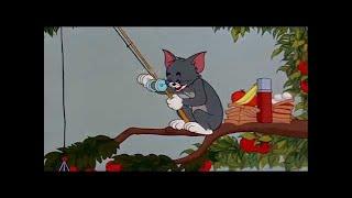 ᴴᴰ Tom and Jerry, Episode 91 - Pup on a Picnic [1953] - P3/3 | TAJC | Duge Mite