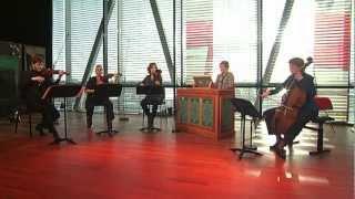 Holland Baroque Society J.S. Bach/ Herr denket an uns (BWV 196)