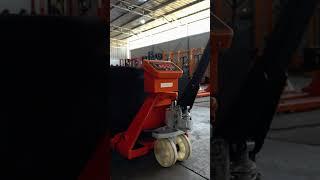 weighing scale hand hydraulic palle truck