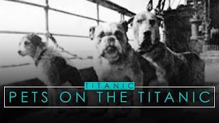 The Animals Aboard The Titanic