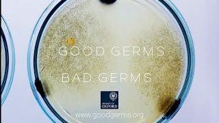 Good Germs; Bad Germs