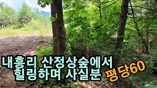 충남공주시 계룡면 내흥리 대지 계획관리 587평 계룡산뷰 평당60