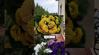 Что еще посадить? Порекомендуйте  #дача #сад #огород