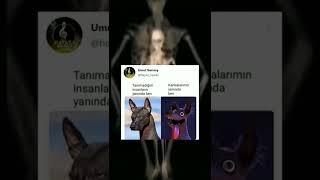 İnstagram - Twitter video #208 #tiktok #twitter #akımı
