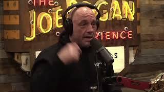 Joe Rogan Ibogaine Therapy for Addiction Treatment - Pauly Shore