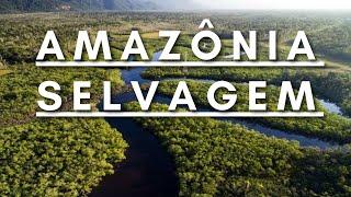 Amazônia Selvagem - Berço da vida | Documentário dublado HD