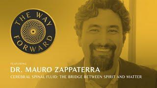 Cerebral Spinal Fluid: The Bridge Between Spirit and Matter featuring Dr. Mauro Zappaterra