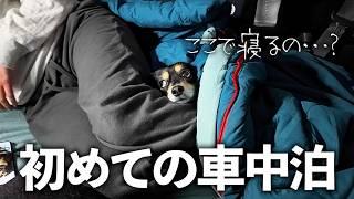 内弁慶甘えん坊犬と初めて車中泊したらこうなりました