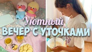 УЮТНЫЙ ВЕЧЕР С УТОЧКАМИ️