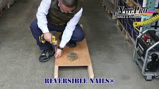 Reversible Nails Demo