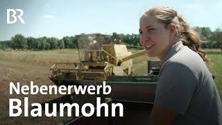 Blaumohn-Ernte: Junge Landwirtin sammelt Erfahrung | Schwaben & Altbayern | BR | Doku | Mohn