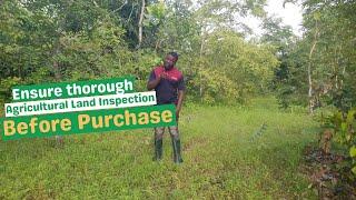 AGRICULTURAL LAND INSPECTION AND ANALYSIS BEFORE PURCHASE/ step-by-step key consideration/ Farmland