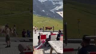 Eiger, Switzerland, Kleine Scheidegg #eiger #travel #alps #switzerland #nature #relaxingmusic