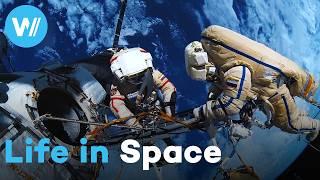 The bizarre life of an astronaut: the joys and dangers of life in space (Full Documentary)