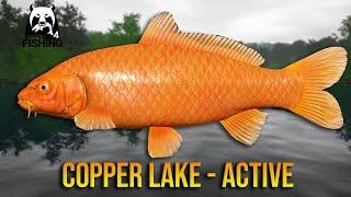 Orenji Ogon Good Spot at Copper Lake - Russian Fishing 4