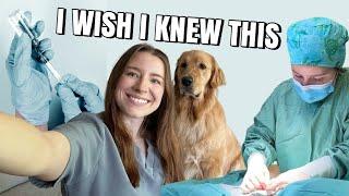 THE TRUTH ABOUT BEING A VET: 5 things I learned in my first year as a new grad vet 