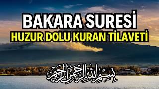 Bakara Suresi Dinle - Huzur ve Bilgelik Dolu Kuran Tilaveti | Kuran Dinle