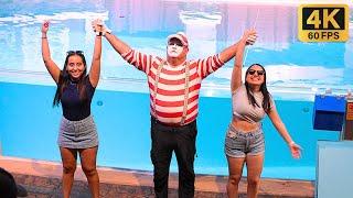 The mime Tom at SeaWorld Orlando's hilarious Christmas  4K  #tomthemime #seaworldmime #funny