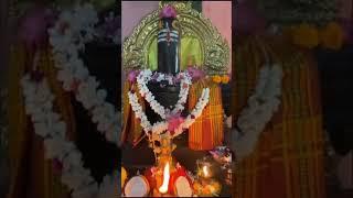 Pradosham Shiva puja at Naga Devi Mandir  #pradosham #shiva #puja #karpuragauram #mahadev  #mantra