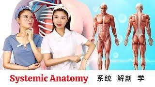 Learn Systemic Anatomy in Chinese  / Practical Medical Chinese Level 1