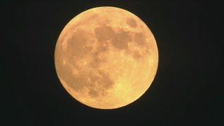 Beaver Moon Eclipse Starts Overnight
