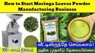 Moringa Leaves Powder Business Ideas | moringa leaf powder business / New business ideas in tamil