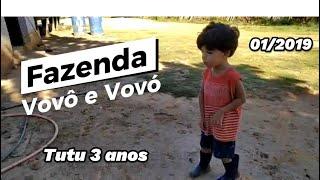 Tutu na fazenda Lobato com vovó e vovô: 2019 #fazenda #vlog #vloglife #MinasGerais #sitioSeuLobato