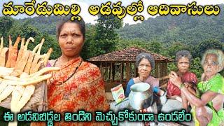 Maredumilli forest Konda Reddy's natural food&Village|మారేడుమిల్లి అడవుల్లో గిరిజనులు @TribalMirror