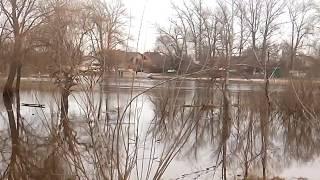 Vorskla River has left the coast - big water Poltava April 5, 2018 / news Poltava 24