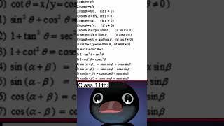 nook nook | penguin meme | viral video | maths | #shorts #memes #nootnoot #trending #funny