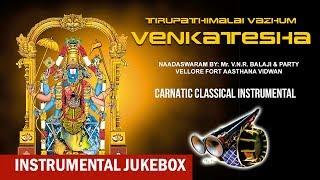 Instrumental | Tirupathimalai Vazhum Venkatesha | V N R Balaji & Party | Nadaswaram | Instrumental