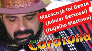 Grupo Cordiona - Macaco já foi Gente (Adelar Bertussi / Itajaíba Mattana) joaoparaiba