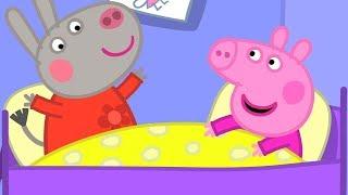Peppa Pig  Delphine Eşek ⭐8 bölümün hepsi ⭐ Programının en iyi bölümleri | Çocuk programı