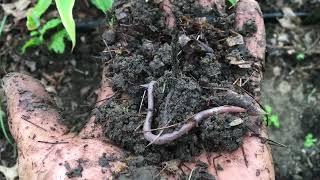 Crop Production Course April 2024 promo