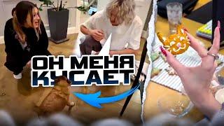 КАЯ УСТРОИЛА КУКИНГ С ДЕВОЧКАМИ + парадеевич и никита