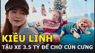 Kiều Linh bị mẹ ngăn cản lấy chồng hơn 20 tuổi, U50 sống như bà hoàng: Tậu xe 3,5 tỷ để chở cún cưng